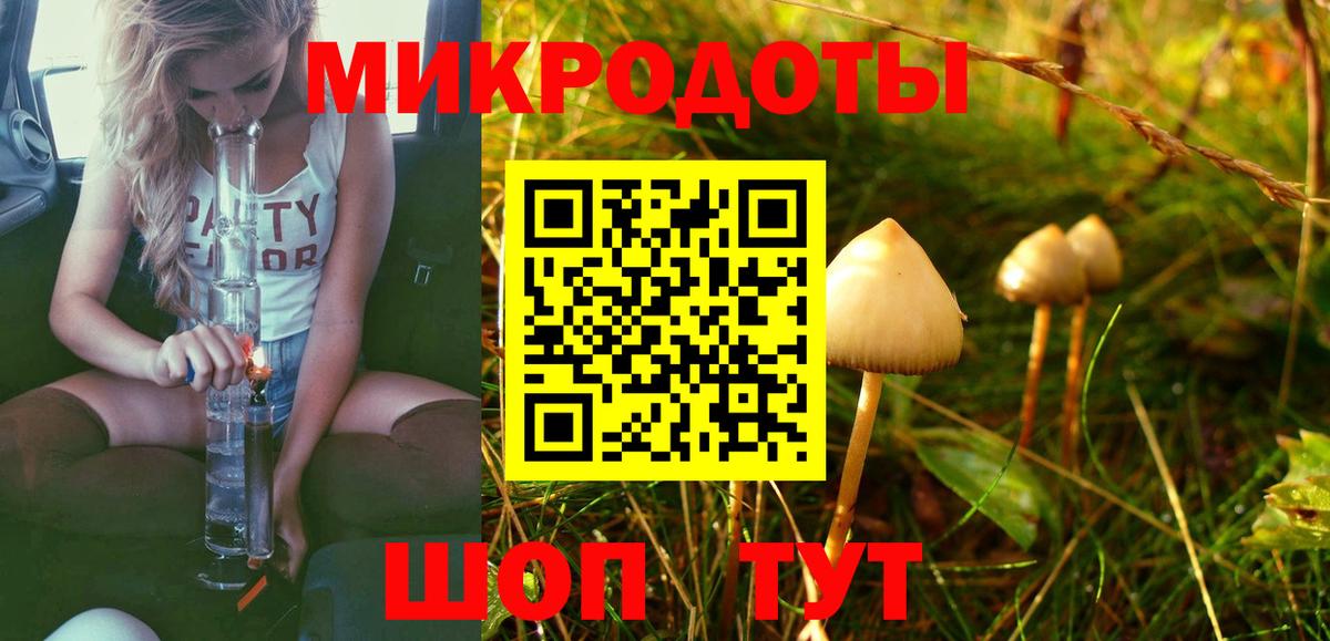 Галлюциногенные грибы Psilocybine cubensis  Вход с VPN  Мурманск 